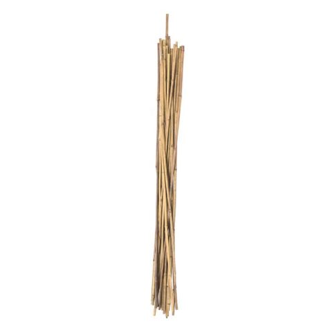 12-Piece Bamboo Yard Stakes, 5', Natural, sold by At Home