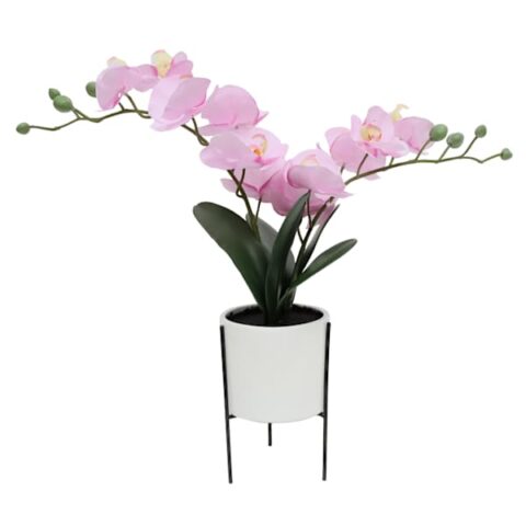 18In Rf Orchid In Pot, Pink, sold by At Home