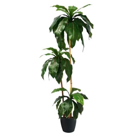 3-Head Potted Bird's Nest Tree, 5.5', Green, Plastic, sold by At Home