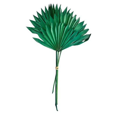 3-Piece Green Sun Spears, 19", sold by At Home