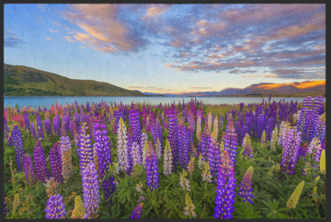 Fussmatte Lake Tekapo Neuseeland 10367