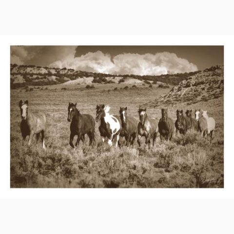 Art Print: A Chorus Line by Barry Hart: 16x23in