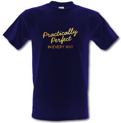 Practically Perfect In Every Way male t-shirt.