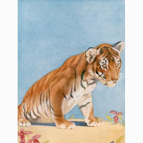 Art Print: A Careful Approach by The Vintage Collection: 16x12in